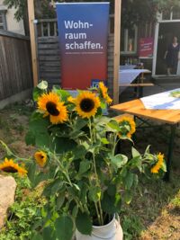 Bild eines Plakats "Wohnraum schaffen" mit Sonnenblumen im Vordergrund